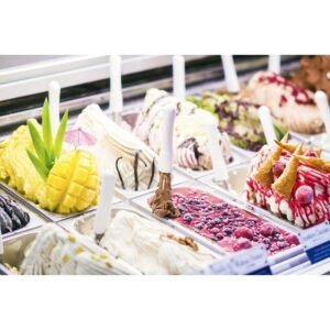 ICE CREAM FREEZER INSERTS
